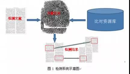 CNKI学术不端检测系统示意图