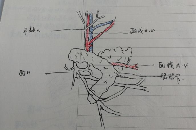 2018年湘雅医院骨科考博经验